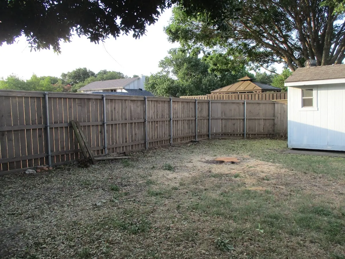 Cleared yard after professional tree removal in Newton Grove